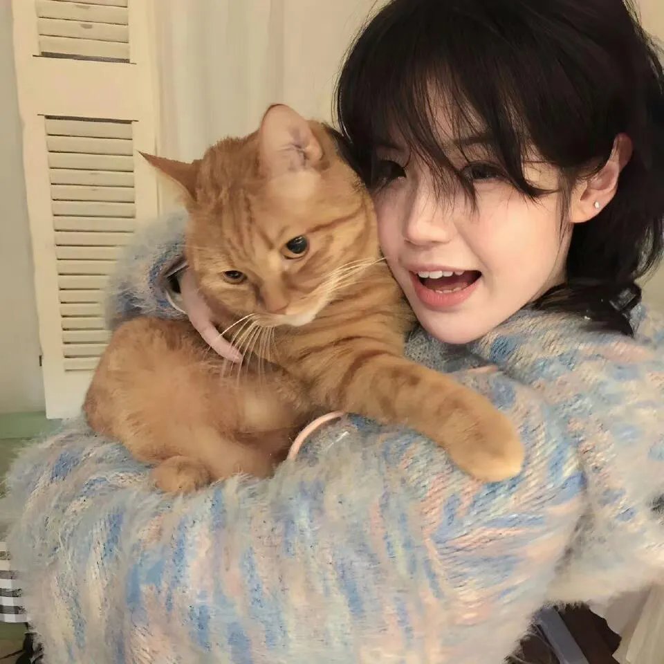 双面艾莉丝